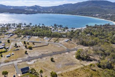 Residential Block For Sale - TAS - White Beach - 7184 - White Beach Heights Exciting New land Release from $185,000  (Image 2)
