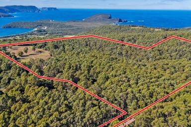 Residential Block For Sale - TAS - Port Arthur - 7182 - Private Wilderness Retreat with Breathtaking Water Views – Over 50 Acres Adjoining National Park  (Image 2)