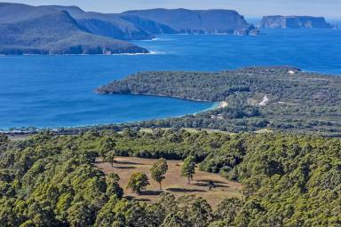 Residential Block For Sale - TAS - Port Arthur - 7182 - Private Wilderness Retreat with Breathtaking Water Views – Over 50 Acres Adjoining National Park  (Image 2)