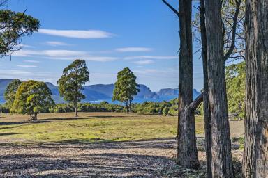 Residential Block For Sale - TAS - Port Arthur - 7182 - Private Wilderness Retreat with Breathtaking Water Views – Over 50 Acres Adjoining National Park  (Image 2)