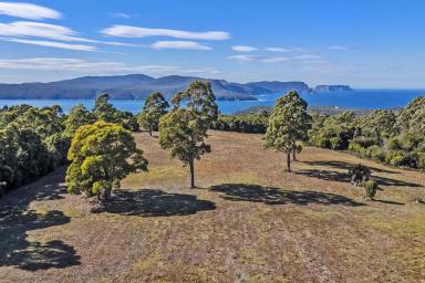 Residential Block For Sale - TAS - Port Arthur - 7182 - Private Wilderness Retreat with Breathtaking Water Views – Over 50 Acres Adjoining National Park  (Image 2)