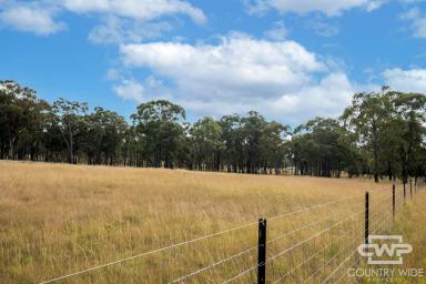 Lifestyle For Sale - NSW - Emmaville - 2371 - Small Acreage Close to Town  (Image 2)