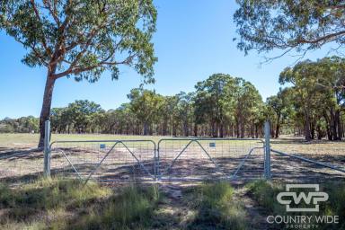 Lifestyle For Sale - NSW - Emmaville - 2371 - Small Acreage Close to Town  (Image 2)