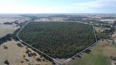 Other (Rural) For Sale - SA - Lucindale - 5272 - Native Escape At Its best $300,000  (Image 2)