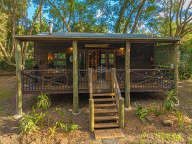 Acreage/Semi-rural For Sale - QLD - Conondale - 4552 - Dual Living with Peace and Tranquillity  (Image 2)