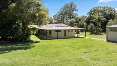 House For Sale - QLD - Cooroy - 4563 - Stunning 6-Acre Property with Renovated Single-Level Country Homestead  (Image 2)