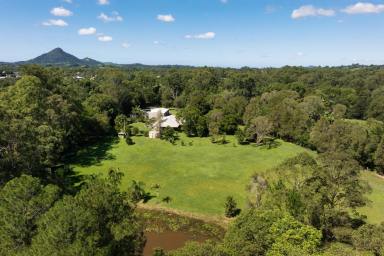 House For Sale - QLD - Cooroy - 4563 - Stunning 6-Acre Property with Renovated Single-Level Country Homestead  (Image 2)