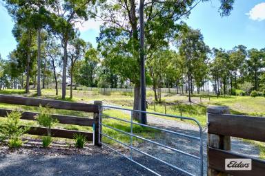 Residential Block For Sale - QLD - North Deep Creek - 4570 - ONE LOT LEFT!  (Image 2)