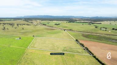 Other (Rural) For Sale - NSW - Singleton - 2330 - Rare 10 Acre Building Parcel in Prime Hunter Location  (Image 2)