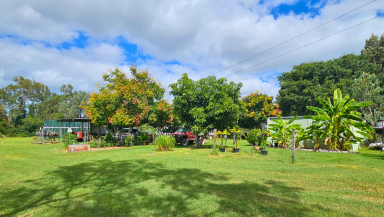 House For Sale - QLD - Gayndah - 4625 - 5 Acre Rural Oasis - Gayndah, North Burnett Region  (Image 2)