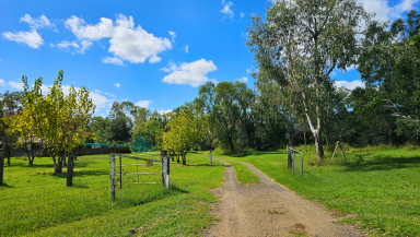 House For Sale - QLD - Gayndah - 4625 - 5 Acre Rural Oasis - Gayndah, North Burnett Region  (Image 2)