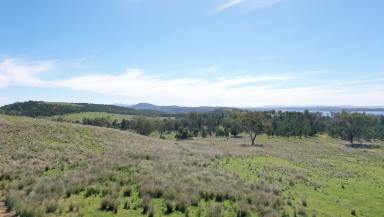 Lifestyle For Sale - NSW - Rushes Creek - 2346 - THE PERFECT BLEND OF PRIVACY, POSITION & POSSIBILITY  (Image 2)