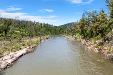 Residential Block For Sale - NSW - Tinpot - 2546 - Escape from it All  (Image 2)