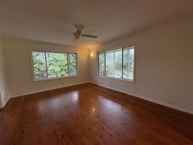 House For Lease - NSW - Foxground - 2534 - Rare Rural Property in Foxground  (Image 2)