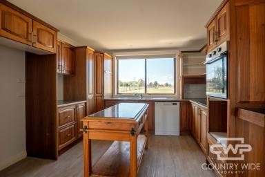 House For Sale - NSW - Guyra - 2365 - Location Location Location  (Image 2)