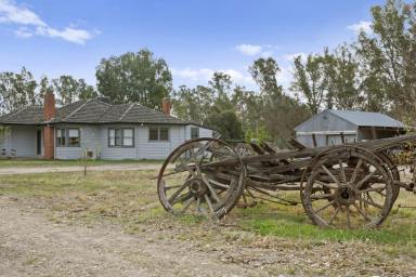 Mixed Farming For Sale - VIC - Pranjip - 3666 - Fully Renovated Farmhouse on 92 Versatile Acres approx. (37.23ha)  (Image 2)