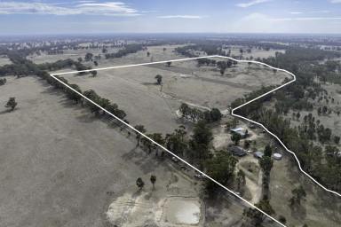 Mixed Farming For Sale - VIC - Pranjip - 3666 - Fully Renovated Farmhouse on 92 Versatile Acres approx. (37.23ha)  (Image 2)