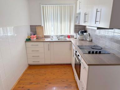 House For Sale - NSW - Moree - 2400 - OPPOSITE TO THE AQUATIC CENTRE!  (Image 2)