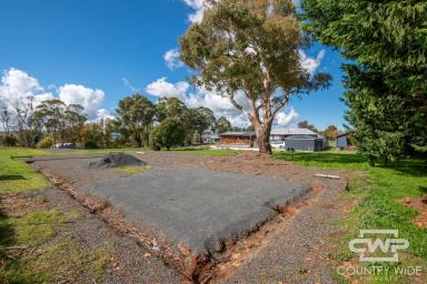 Residential Block Sold - NSW - South Guyra - 2365 - Spacious Building Block  (Image 2)