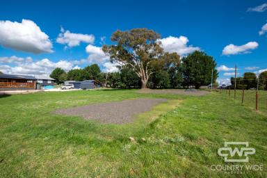 Residential Block Sold - NSW - South Guyra - 2365 - Spacious Building Block  (Image 2)