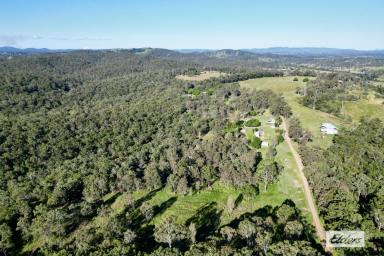 Residential Block For Sale - QLD - Fishermans Pocket - 4570 - Secluded 36 Acre Retreat with Rainforest Creek & Established Infrastructure  (Image 2)