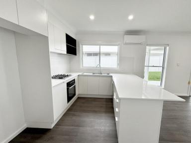 House For Lease - NSW - Old Bar - 2430 - Move in ready bright spacious four bedroom home  (Image 2)