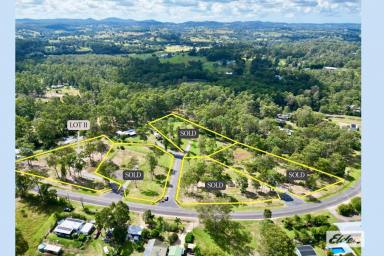 Residential Block For Sale - QLD - North Deep Creek - 4570 - Lot 11 – Sunset Grove Estate  (Image 2)