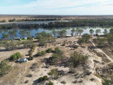 Lifestyle For Sale - SA - Swan Reach - 5354 - Perfect location for an acreage, River getaway property  (Image 2)