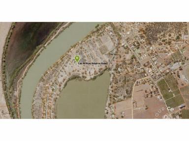 Lifestyle For Sale - SA - Swan Reach - 5354 - Perfect location for an acreage, River getaway property  (Image 2)