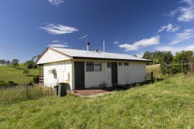 Mixed Farming For Sale - NSW - Tipperary - 2429 - Productive Grazing Acres in Hinterland Setting  (Image 2)