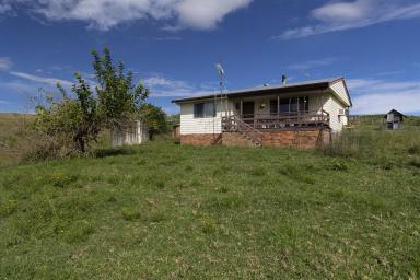 Mixed Farming For Sale - NSW - Tipperary - 2429 - Productive Grazing Acres in Hinterland Setting  (Image 2)