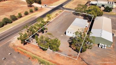 Industrial/Warehouse For Sale - NSW - Hillston - 2675 - Refurbished Industrial shed ready to occupy or lease!  (Image 2)