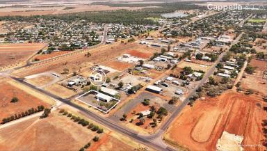 Industrial/Warehouse For Sale - NSW - Hillston - 2675 - SHED READY TO OCCUPY OR LEASE  (Image 2)