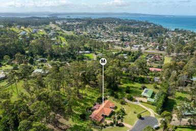 House For Sale - NSW - Surf Beach - 2536 - Expansive Family Retreat  (Image 2)