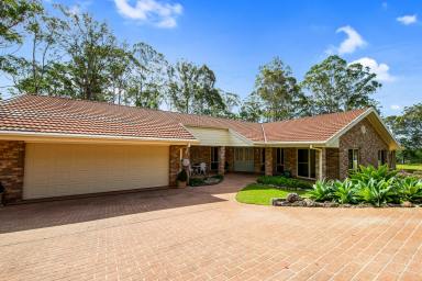 House For Sale - NSW - Surf Beach - 2536 - Expansive Family Retreat  (Image 2)