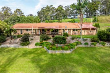 House For Sale - NSW - Surf Beach - 2536 - Expansive Family Retreat  (Image 2)