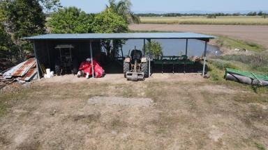 Cropping For Sale - QLD - Hawkins Creek - 4850 - ESTABLISHED CANE FARM - HAWKINS CREEK!  (Image 2)