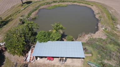 Cropping For Sale - QLD - Hawkins Creek - 4850 - ESTABLISHED CANE FARM - HAWKINS CREEK!  (Image 2)