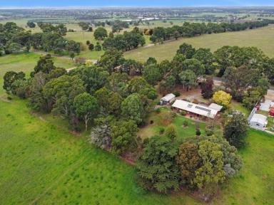 House Sold - VIC - Ellaswood - 3875 - PEACEFUL POSITION WITH RURAL OUTLOOK  (Image 2)