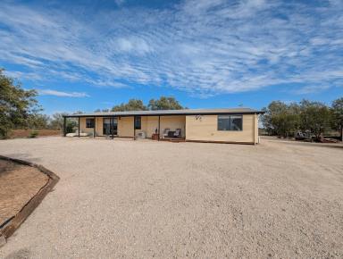 Acreage/Semi-rural For Sale - VIC - Lake Charm - 3581 - Exceptional 73-Acre Lifestyle Property in the Heart of the Kerang Lakes System  (Image 2)