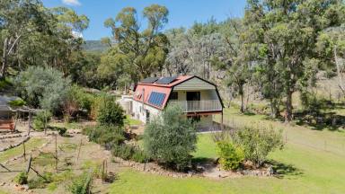 Lifestyle For Sale - NSW - Tenterfield - 2372 - Off-Grid Paradise with Pristine Creek Frontage  (Image 2)