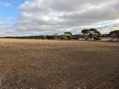 Residential Block For Sale - SA - Minlaton - 5575 - Residential acreage block on edge of town  (Image 2)