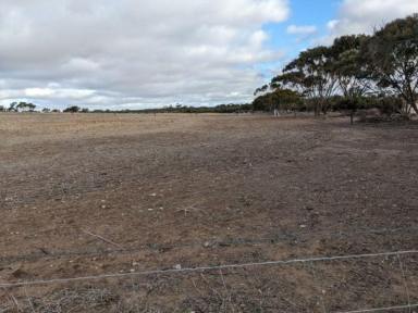 Residential Block For Sale - SA - Minlaton - 5575 - Residential acreage block on edge of town  (Image 2)