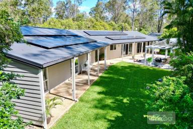 Acreage/Semi-rural For Sale - QLD - Curra - 4570 - Luxury Family Paradise + LARGE Studio and endless space  (Image 2)