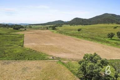 Other (Rural) Auction - NSW - Martindale - 2328 - 1,248 Acres – Secure Your Very Own Secluded Valley  (Image 2)