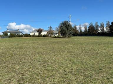 Residential Block For Sale - TAS - Deloraine - 7304 - Ready To Build Your Dream Home!  (Image 2)