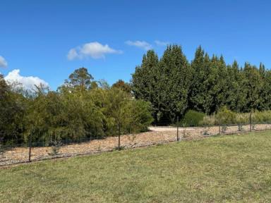 Residential Block For Sale - TAS - Deloraine - 7304 - Ready To Build Your Dream Home!  (Image 2)