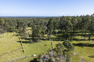 Other (Rural) For Sale - NSW - Banyabba - 2460 - 40 Hectares of Hidden Treasure in Northern NSW – Your Off-Grid Dream Awaits!  (Image 2)