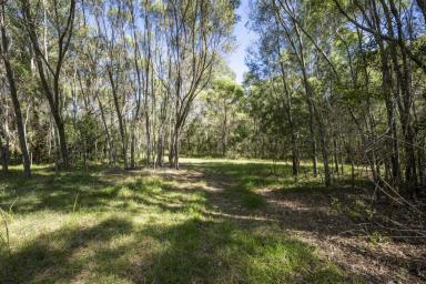 Other (Rural) For Sale - NSW - Banyabba - 2460 - 40 Hectares of Hidden Treasure in Northern NSW – Your Off-Grid Dream Awaits!  (Image 2)