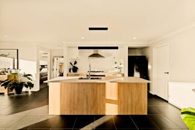 House For Sale - QLD - Chatsworth - 4570 - Modern Home on Small Acreage  (Image 2)